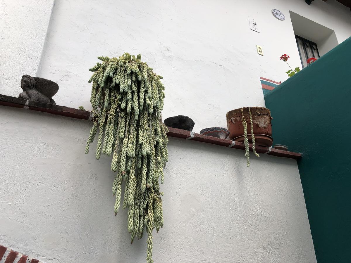 Appartement Meson Del Penasco à Oaxaca Extérieur photo